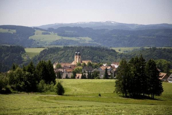 Gaestehaus Wald Und See تيتيسي نيوستادت المظهر الخارجي الصورة